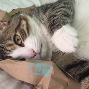 Meet your Posher, Mackenzie